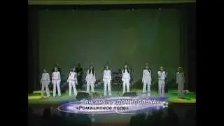 Домисолька - Ромашковые поля (рук. Юлия Яшина, Пенза)