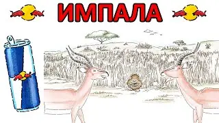 🦁 