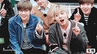 Nielwink - whispers, hugs and distance