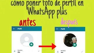 como poner tu foto de perfil en WhatsApp plus  sin archivos 