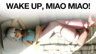 WAKE UP, MIAO MIAO!