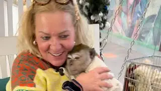 Прогулка Жорика часть вторая 🫶🐒❤️