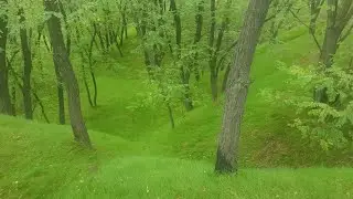 Жизнь Прекрасна!