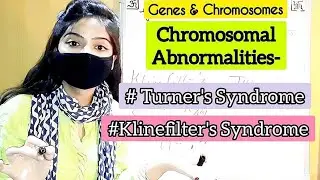 (P-18) TURNER'S & KLINEFILTER'S SYNDROME| ELEMENTS OF INHERITANCE AND VARIATION, BIOLOGY CLASS-12