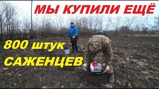 66. КУПИЛИ УСАДЬБУ, ВОССТАНАВЛИВАЕМ! Нам мало 1000, купили ещё 800!