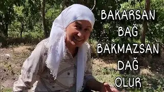 Bayrama özel bahçe turu, Köy hayatı sevenler buraya