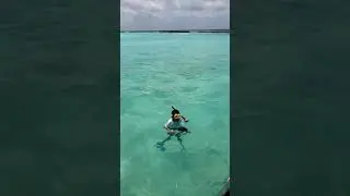 Snorkeling in Maldives