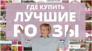 ЛУЧШИЕ ПИТОМНИКИ РОЗ! 🔥Народный рейтинг РОЗАНОСТРЫ!😎🌹 1 часть. 24 февраля 2024 г.