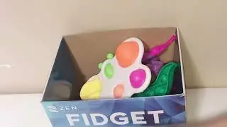 Fidget Toy,Do I have Dinosaur 🦖 pop it?