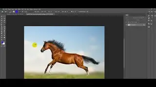 Brush Cursor Showing Icon in Photoshop [SOLVED]