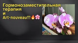 Грандифлора в интерьере | Сохранение молодости