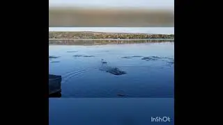 Супер бросок!😃