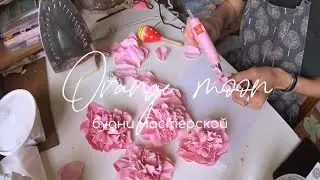 Будни мыловара ✨ рассаживаю колеусы, доработала свечи-розы, делаю костюм дочке в садик 💕