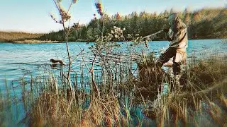 Браконьерская сеть с гнилой рыбой и птицей. Открытие рыбалки