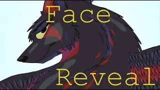 FACE REVEAL (Clearing up some confusion)