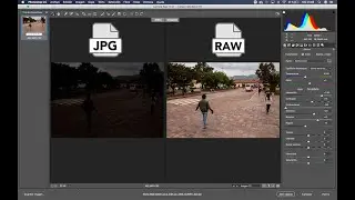 ¿Qué es el formato Raw? Diferencias entre RAW y JPG