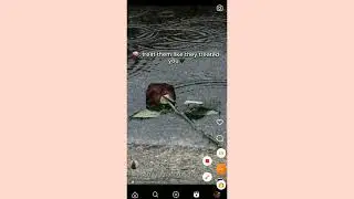 How to Save Instagram Video in Gallery (2024)