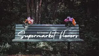 Supermarket Flowers - Ed Sheeran (Lyrics)