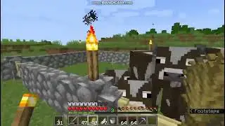 New World Minecraft #ep3 : Enchanting table