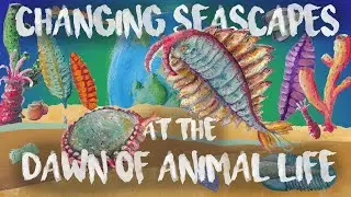 Changing seascapes at the dawn of Animal Life