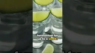 How It's Made  | TEQUILA    #tequila #how it's made