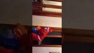 თოვლის ბაბუა გოჩელაშვილებში შეიპარა 2023