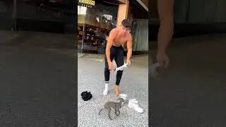 Dogs love smelly socks 🤤
