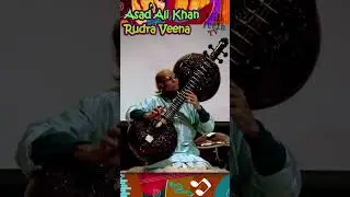 List of Indian Maestro and Indian Musical Instruments