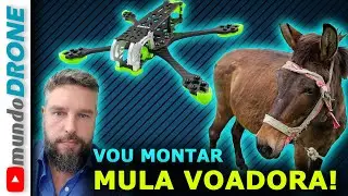 VOU montar um DRONE FPV MULA