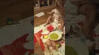 юнная художница