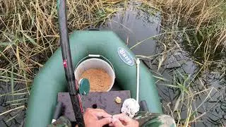 Ловля карася и смех чайки .