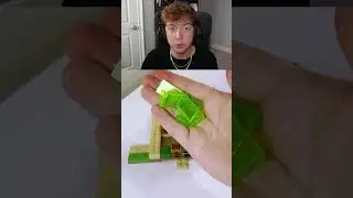 Fred finally has a home 🥹🏠🐢 #shorts