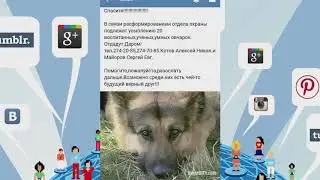 Кулёмина Мария. Как проверить фейки?