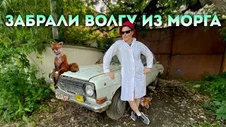 25 ЛЕТ В ГАРАЖЕ , ГНИЛАЯ ВОЛГА И СХРОН НИШТЯКОВ