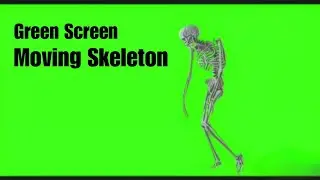 Spooky Moving Skeleton Green Screen - Add Bone-Chilling Vibes with #RG66 #mrlatoenjoys