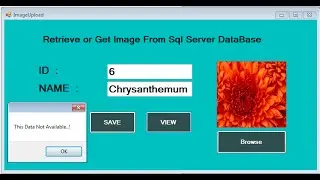 C# Retrieve Image from Database