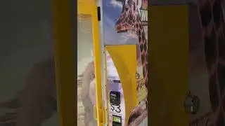 Wind Simulator - Safari Sam #zoo