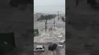Сильнейшее наводнение 