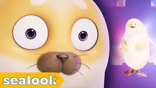 [NEW✨] Seal Dancing to the Ultimate Bop | SEALOOK | EP.117