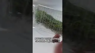 В Перми девушка заказала в Пятерочке укроп, а вместе с ним в упаковке привезли большого палочника