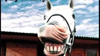 Нишутя себе