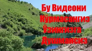 Бу Видеони кўрмасангиз ўзингизга душмансиз