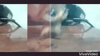 Lps: клип я знаю твой телефон.