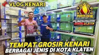 VLOG KE KLATEN TEMPAT GROSIR & ECER KENARI BERBAGAI SERI | PUNOKAWAN KENARI KLATEN