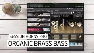Organic Brass Bass with Session Horns Pro