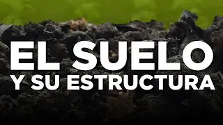 La estructura del suelo: el pilar invisible de la agricultura