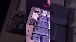 My new cute keycap!!! #Shorts