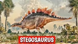 History of Stegosaurus Dinosaur | Amazing Facts about Stegosaurus