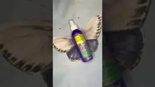 КОСМЕТИКА С  ЛАВАНДОЙ