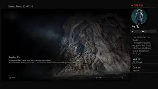 Killing Radagon!